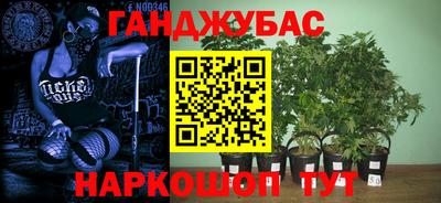 индика Дубна