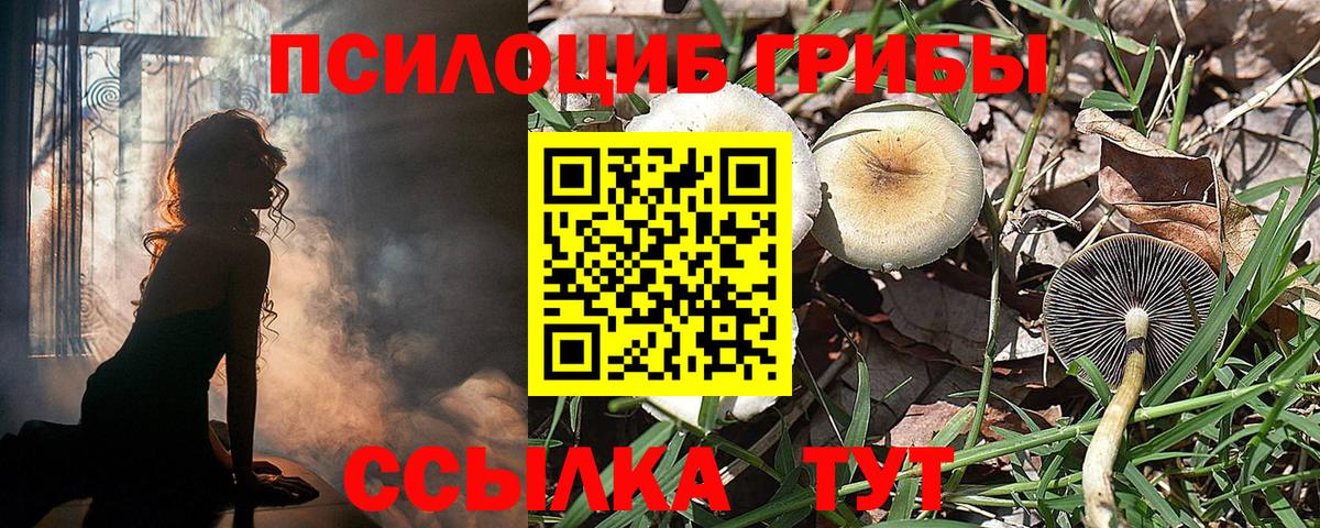 Галлюциногенные грибы прущие грибы  Псилоцибиновые грибы GOLDEN TEACHER  Вход с VPN  Людиново 